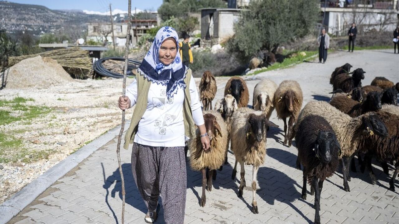 yüksek rakım